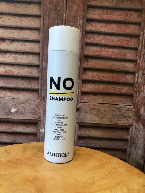 Artistique no yellow shampoo